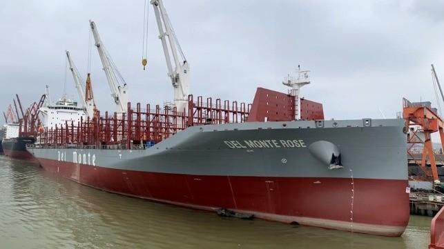 New Energy Efficient Class of Reefer Container Ships Enter Service